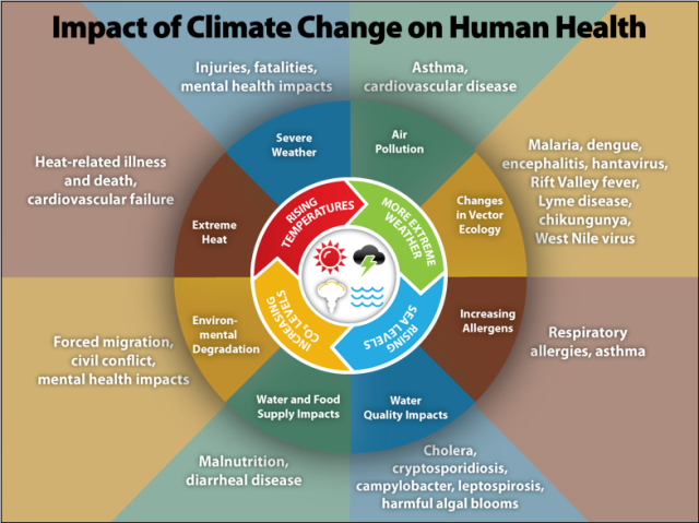 Impact of Climate Change on Human Health